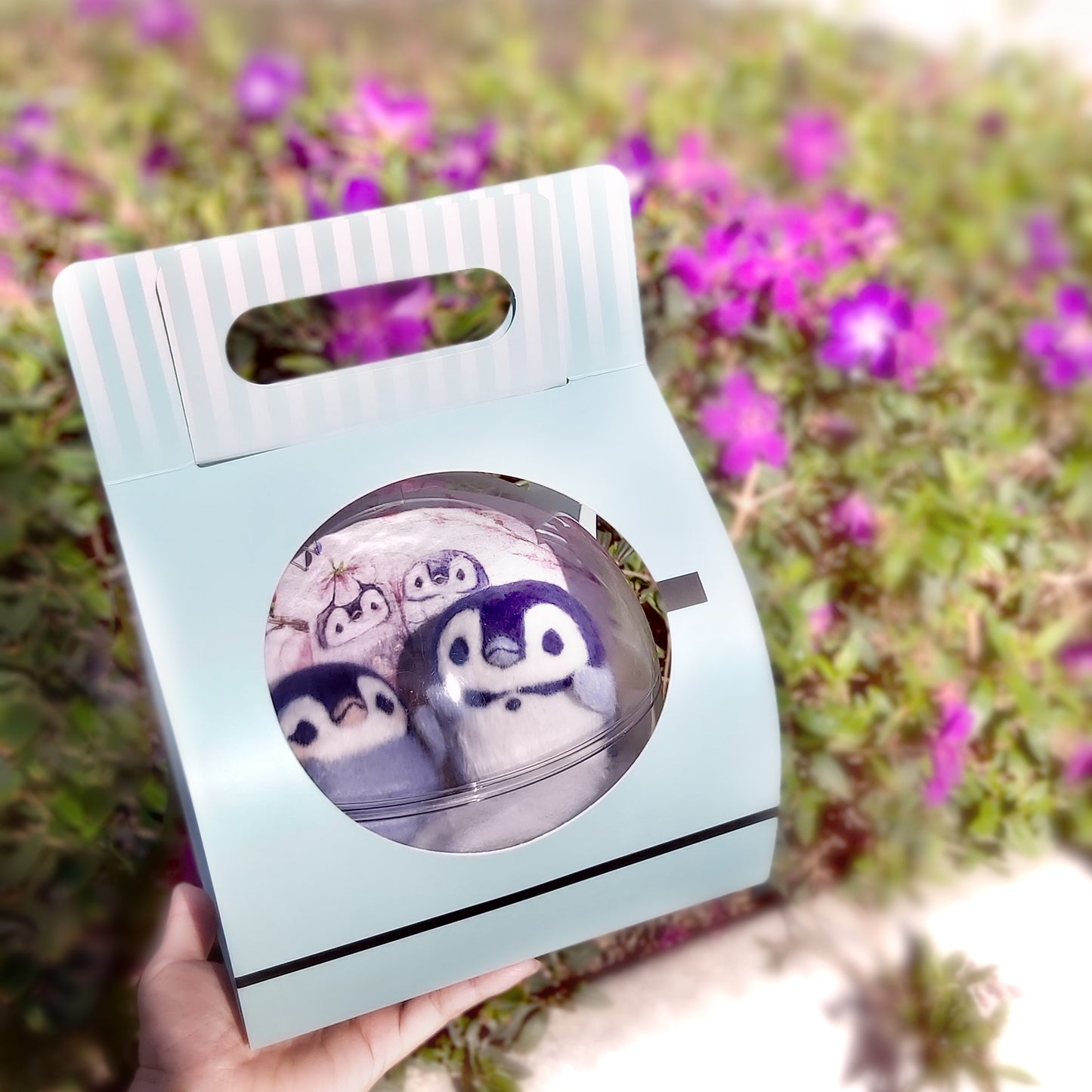 旅遊氣泡 BluDee & FeeZee