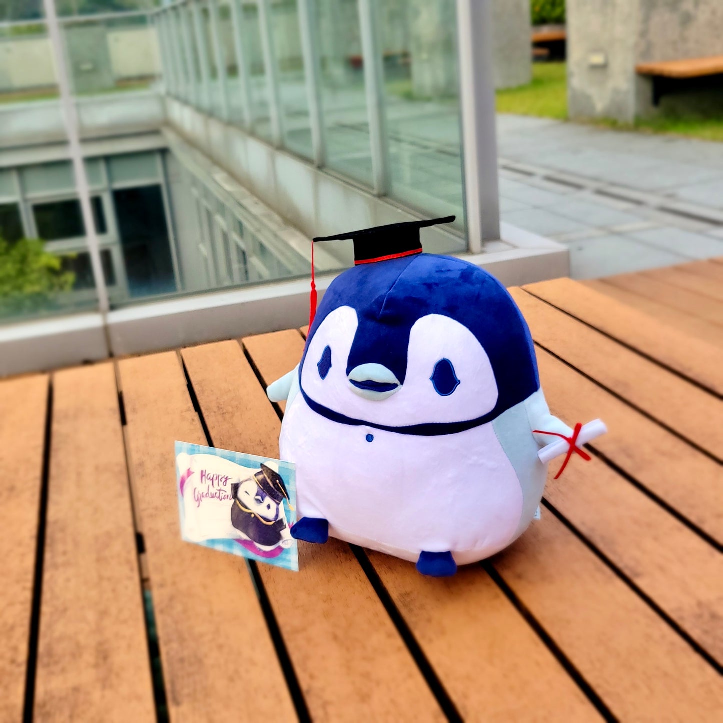 BluDee graduation edition doll with postcard